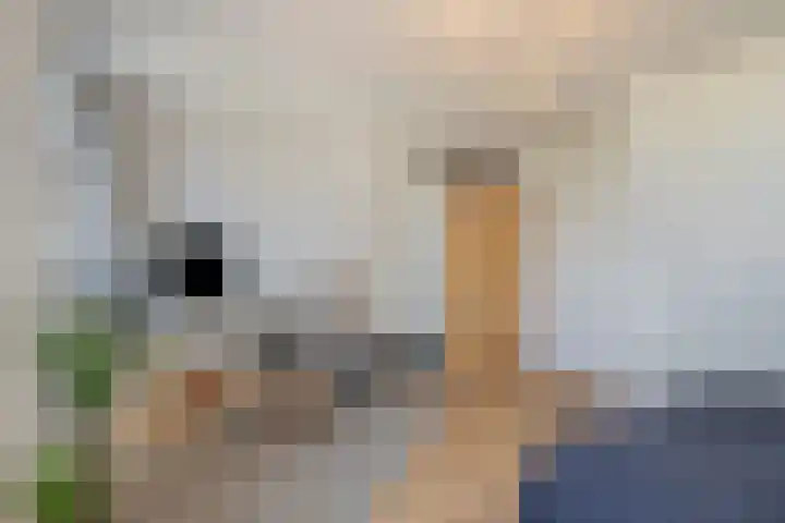 Kinselmeer 15 Zaandam thumbnail 18
