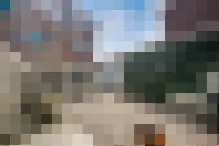 Kinselmeer 15 Zaandam thumbnail 30