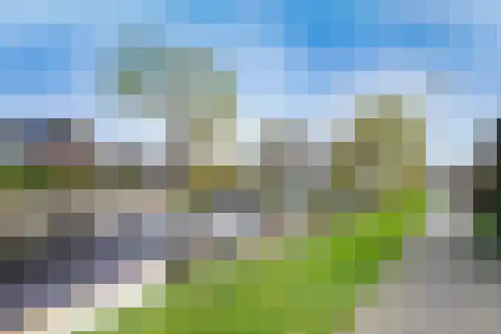 Kinselmeer 15 Zaandam thumbnail 33