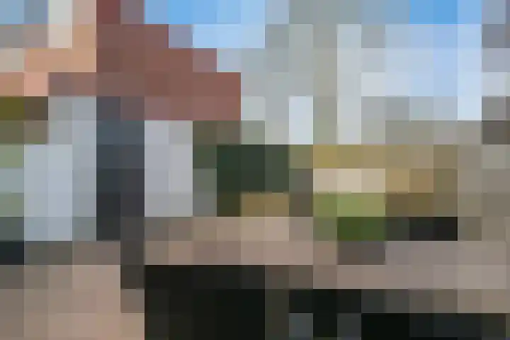 Kinselmeer 15 Zaandam thumbnail 34