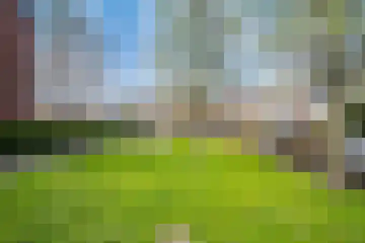 Kinselmeer 15 Zaandam thumbnail 35