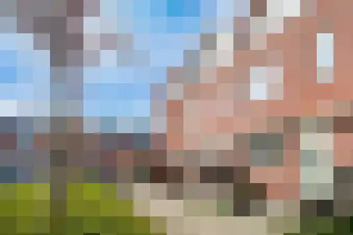 Kinselmeer 15 Zaandam thumbnail 38