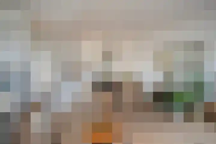 Kinselmeer 15 Zaandam thumbnail 4