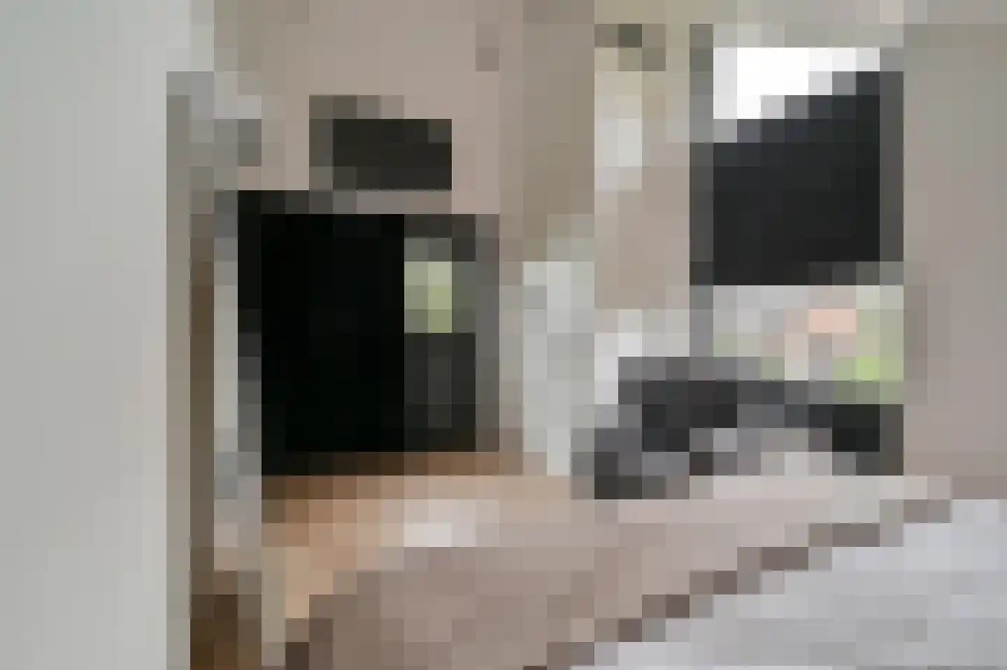 Kinsiusstraat 12 Putten thumbnail 24
