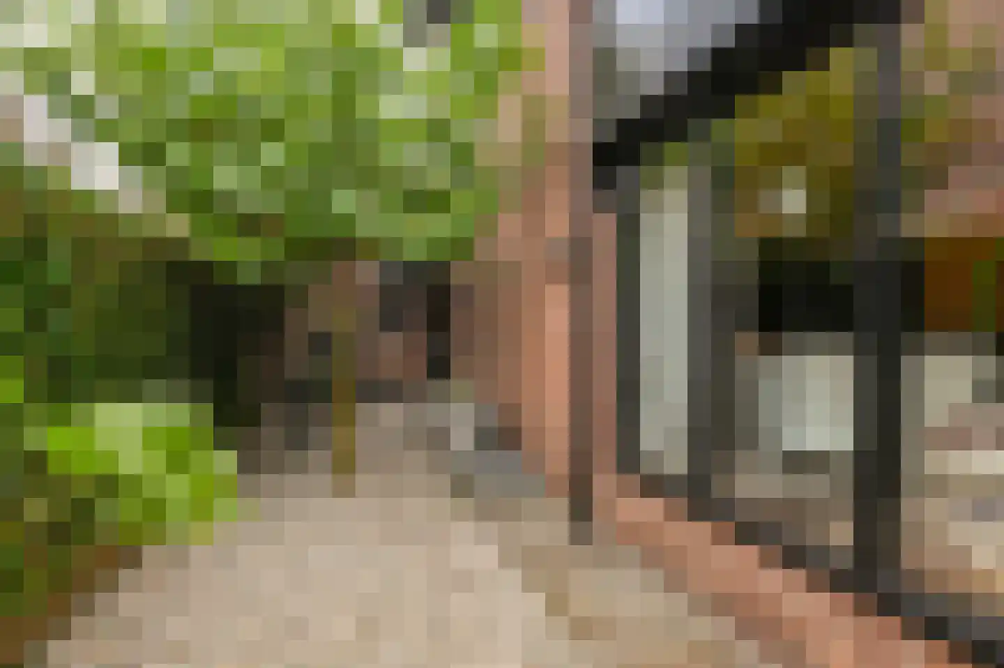 Kinsiusstraat 12 Putten thumbnail 48