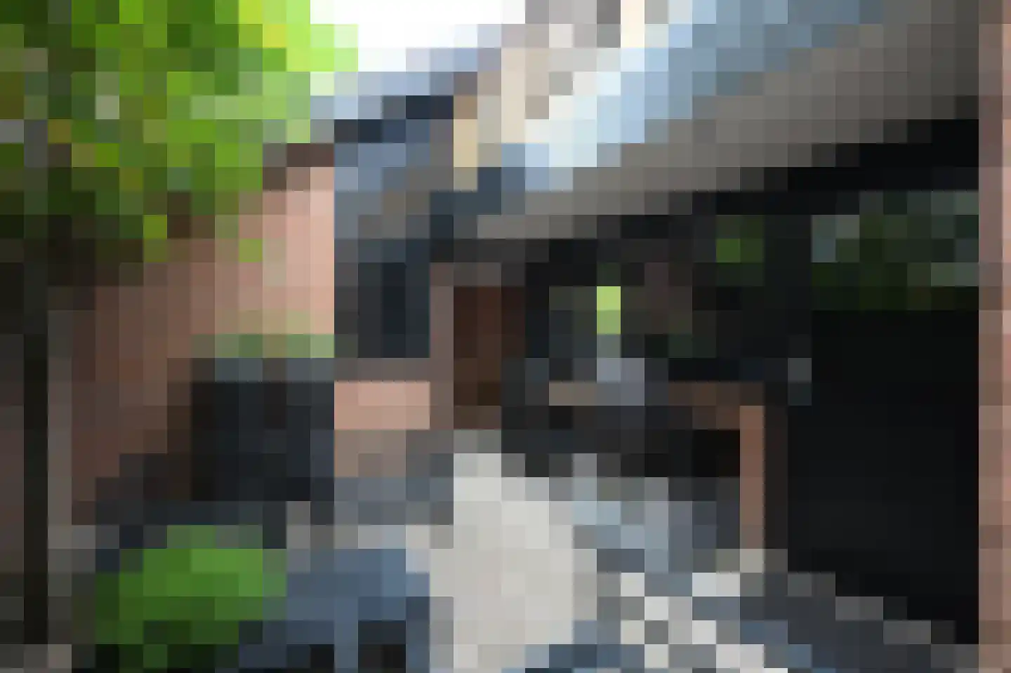 Kinsiusstraat 12 Putten thumbnail 49
