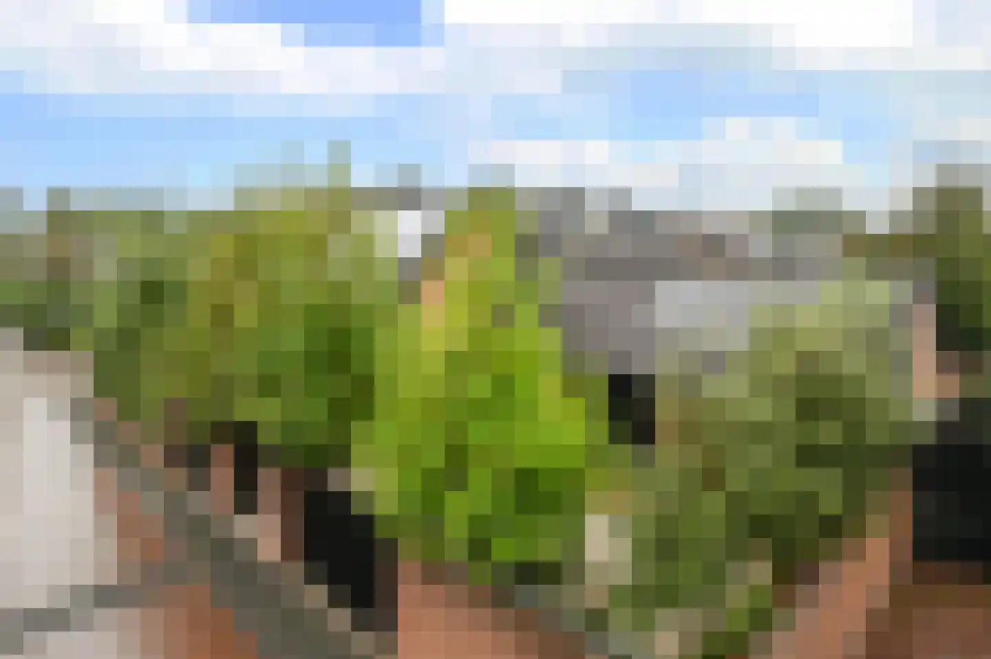 Kinsiusstraat 12 Putten thumbnail 52