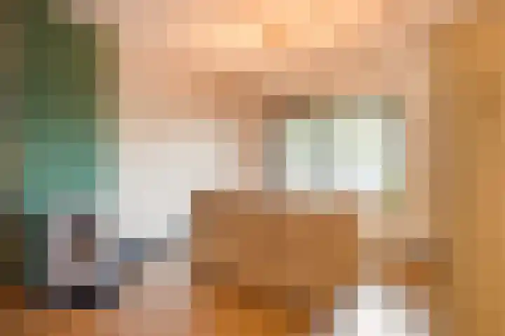Kinskystraat 30 Stein thumbnail 11