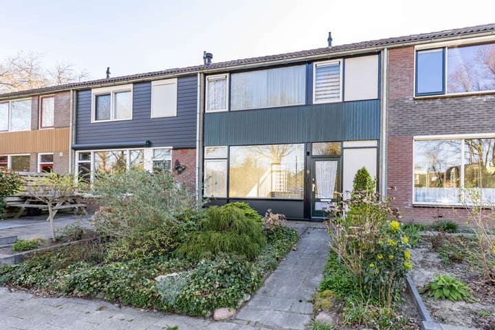 Kipkampen 5 in Peize