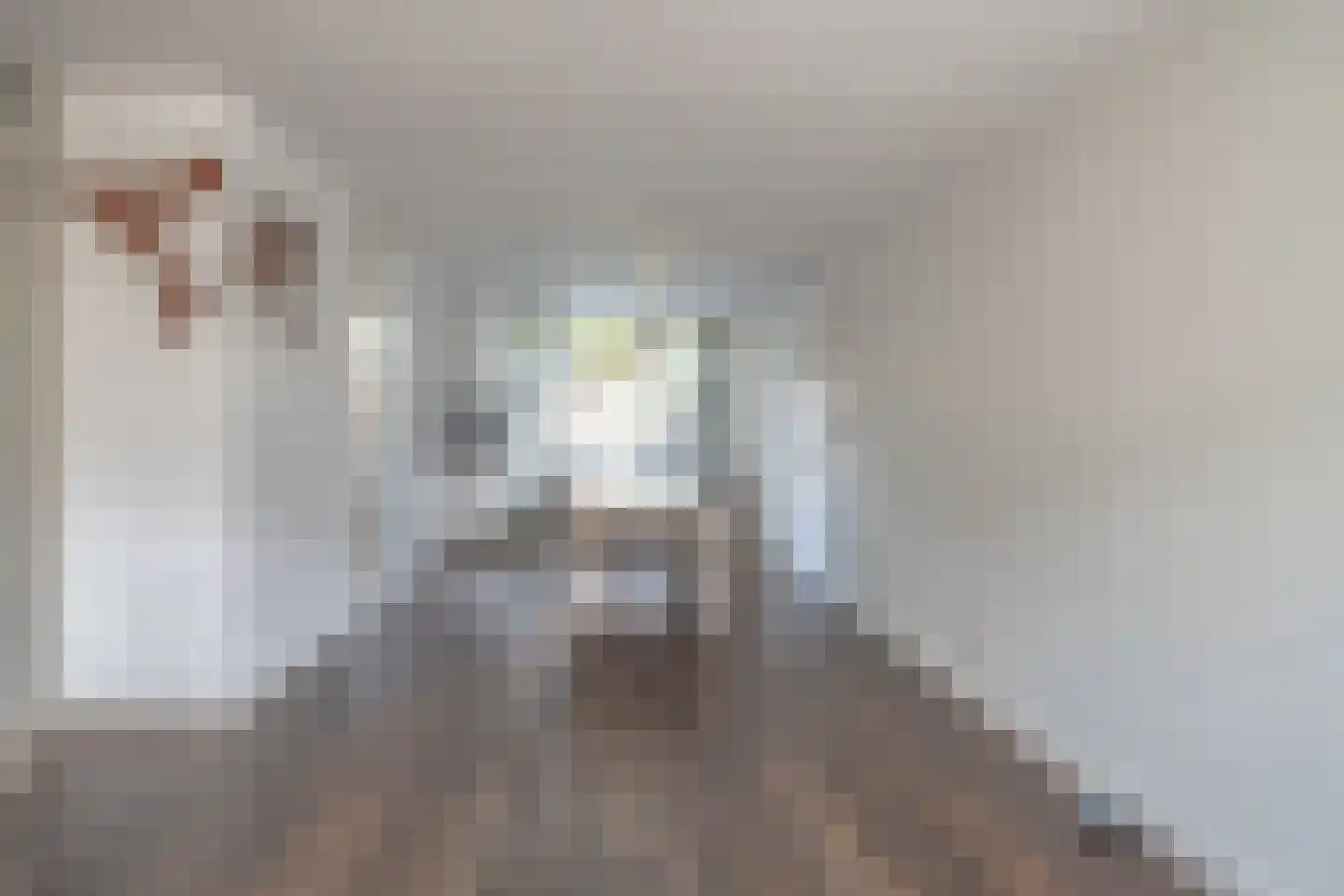 Kiplinglaan 37 Eindhoven thumbnail 21