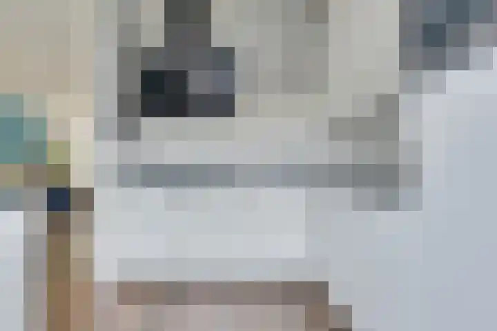 Kiplinglaan 37 Eindhoven thumbnail 26