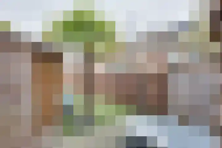 Kiplinglaan 37 Eindhoven thumbnail 27
