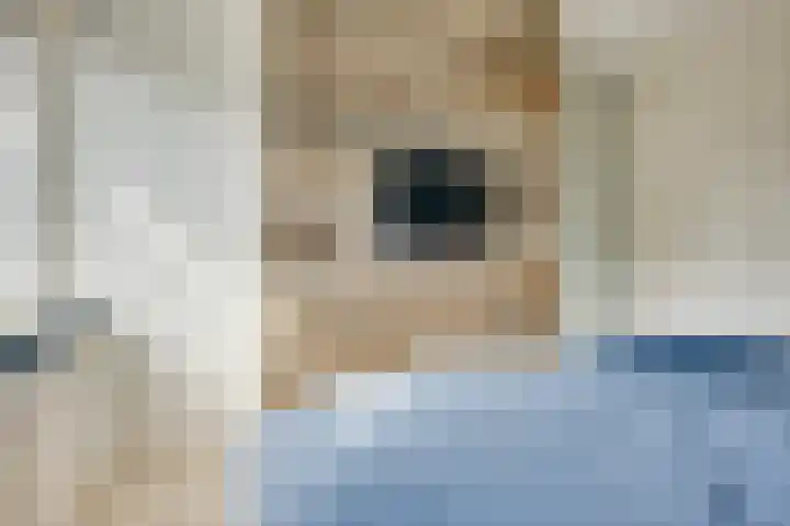 Kiplinglaan 37 Eindhoven thumbnail 39
