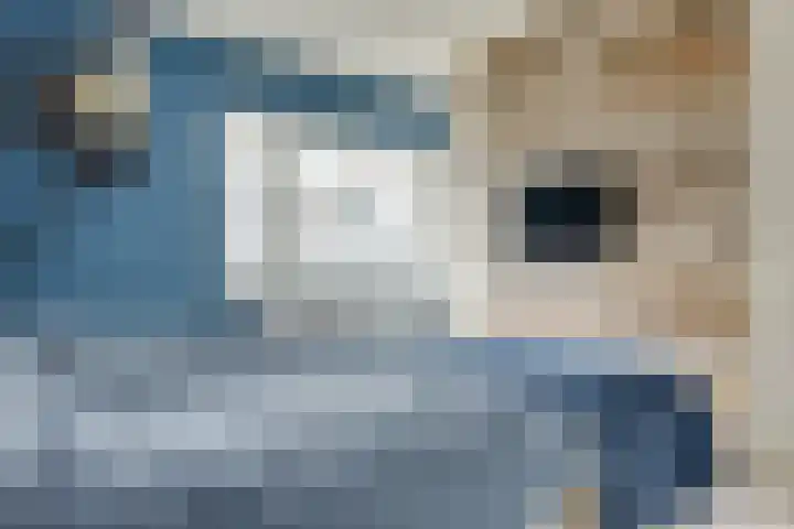 Kiplinglaan 37 Eindhoven thumbnail 40