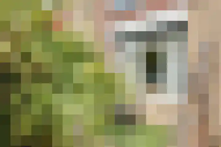 Kiplinglaan 37 Eindhoven thumbnail 6