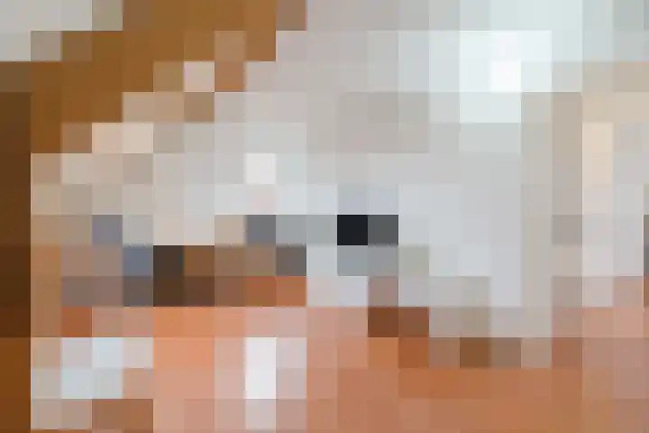 Kiplinglaan 8 Eindhoven thumbnail 37