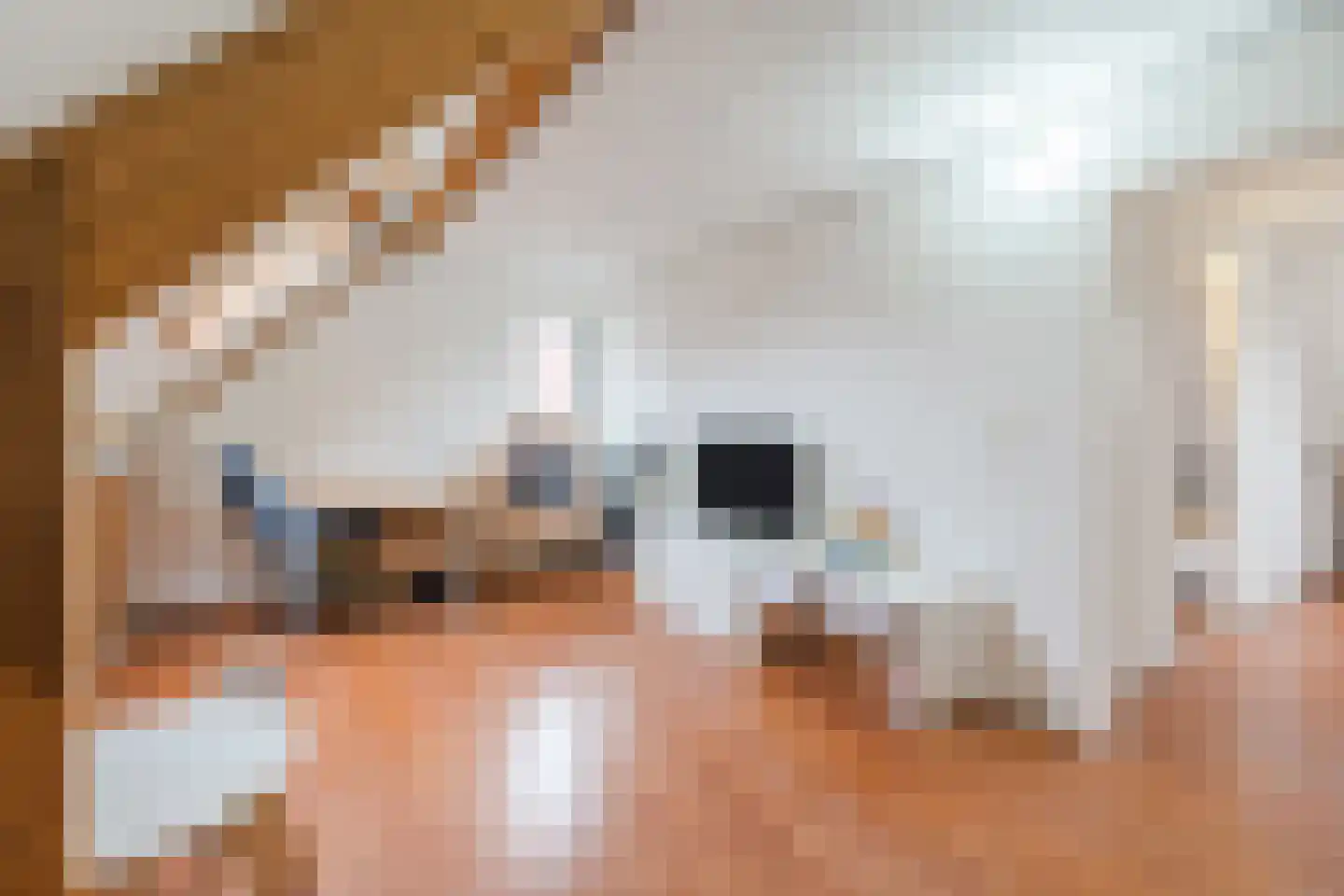 Kiplinglaan 8 Eindhoven thumbnail 37