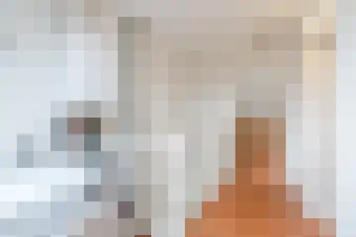 Kiplinglaan 8 Eindhoven thumbnail 41