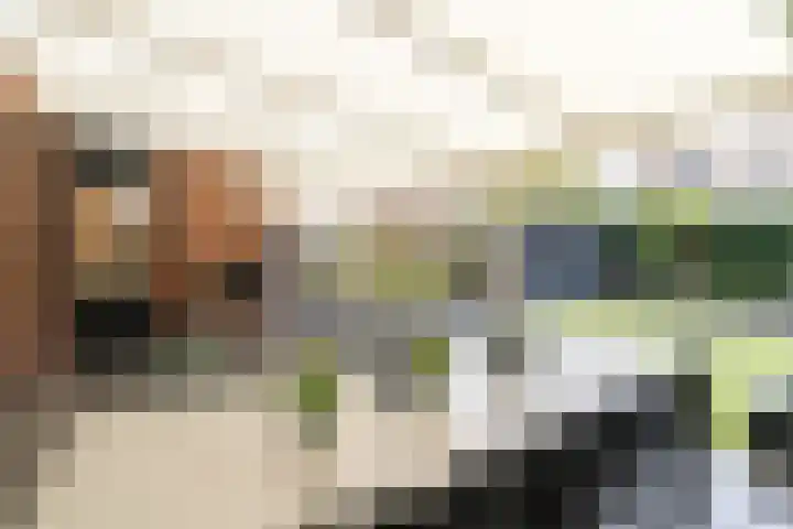 Kiplinglaan 8 Eindhoven thumbnail 43