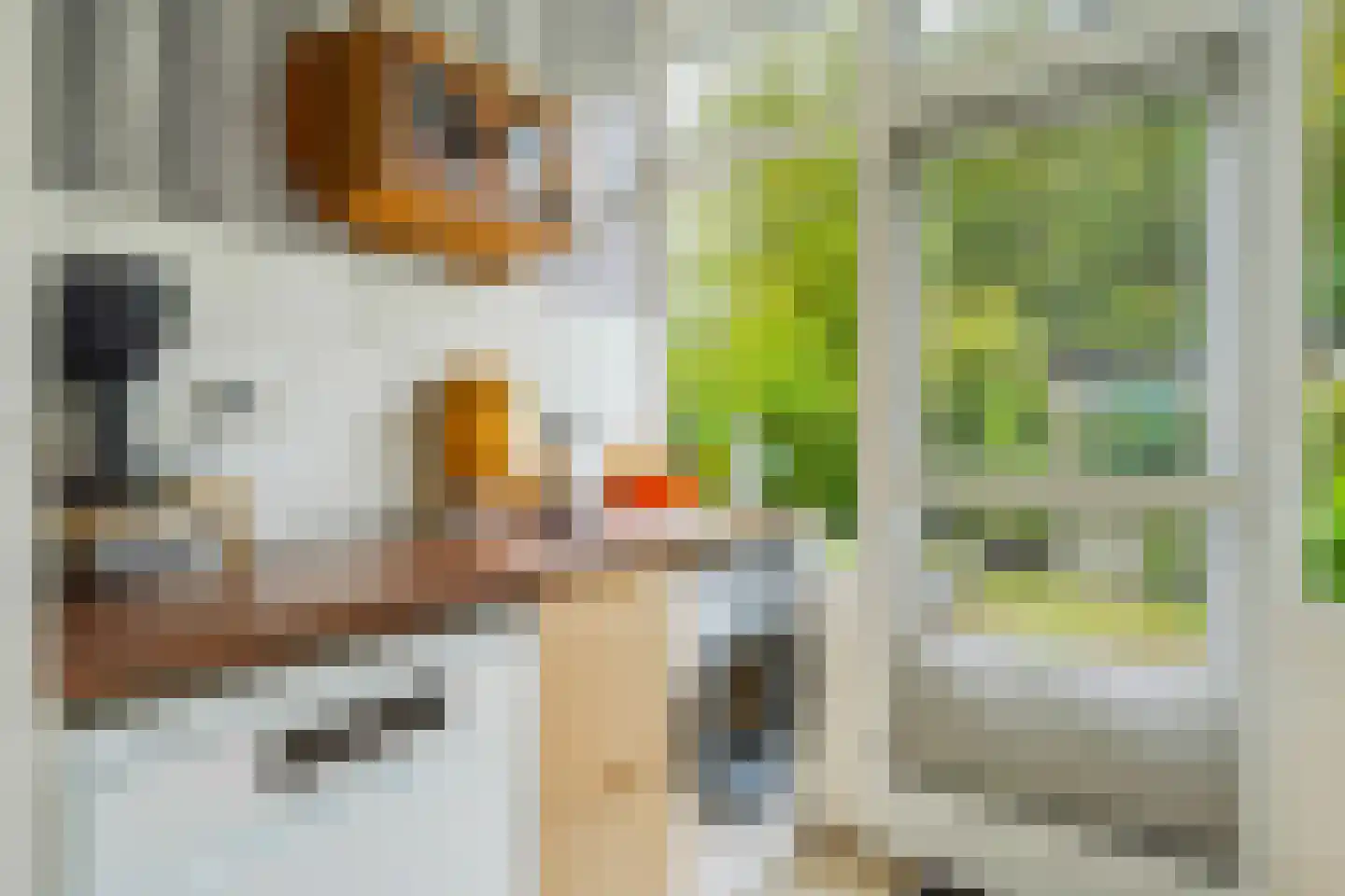 Kiplingstraat 125 Rotterdam thumbnail 11