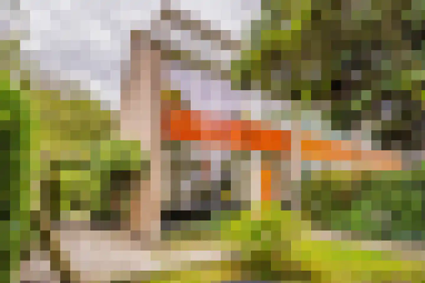 Kiplingstraat 125 Rotterdam thumbnail 33