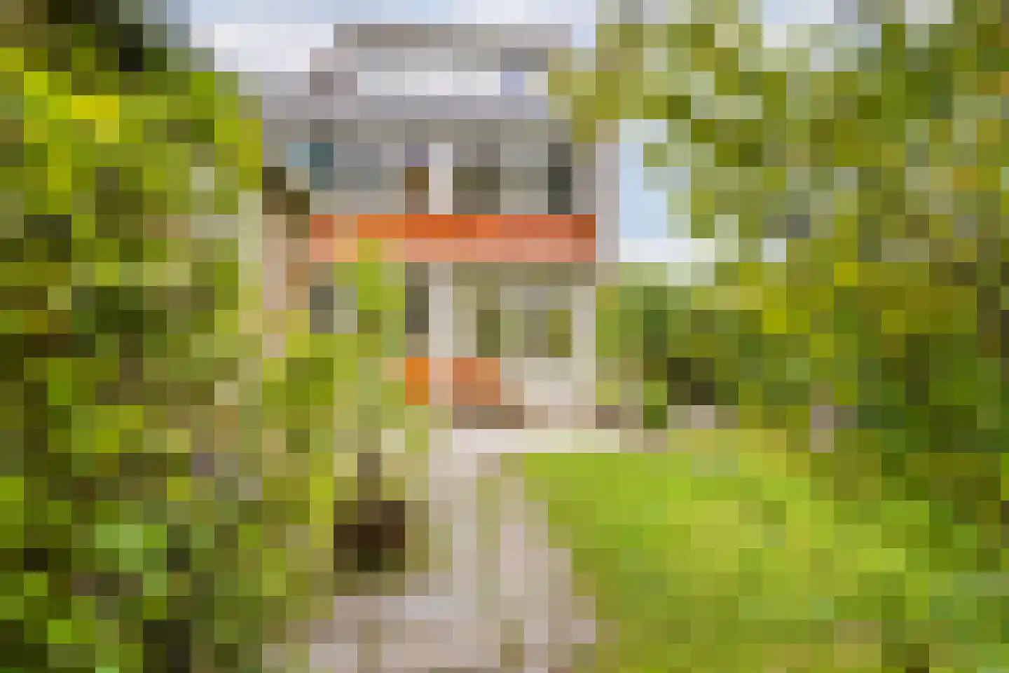 Kiplingstraat 125 Rotterdam thumbnail 34