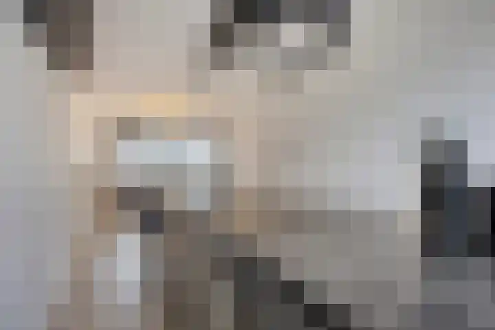 Kiplingstraat 65 Rotterdam thumbnail 12