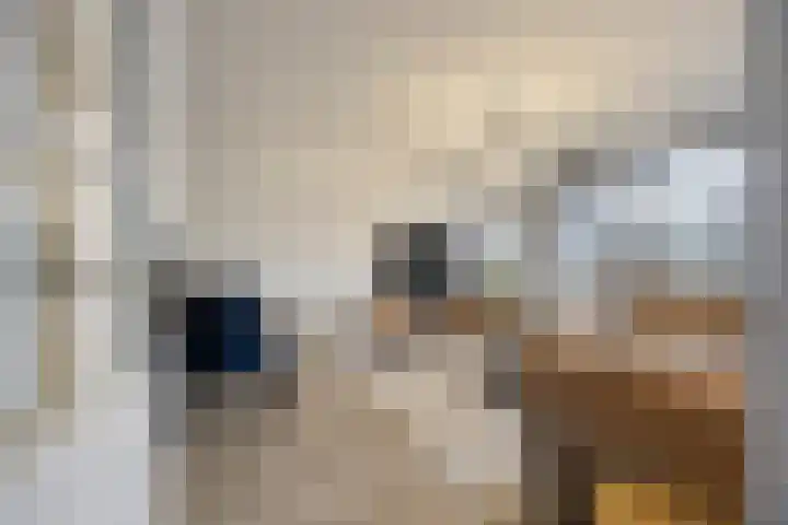 Kiplingstraat 65 Rotterdam thumbnail 6