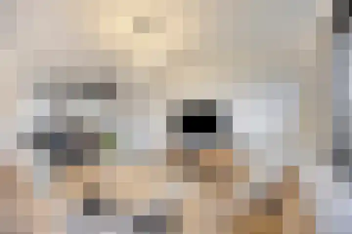 Kiplingstraat 65 Rotterdam thumbnail 8