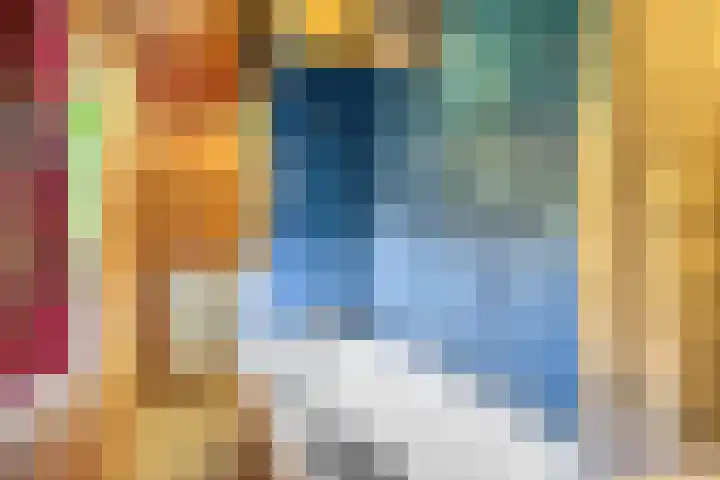 Kipstraat 2 Ossenisse thumbnail 13