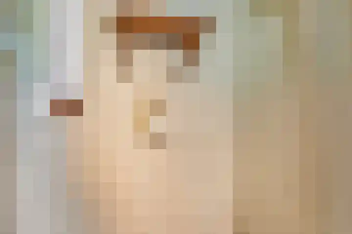 Kipstraat 2 Ossenisse thumbnail 16