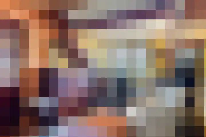 Kipstraat 2 Ossenisse thumbnail 19