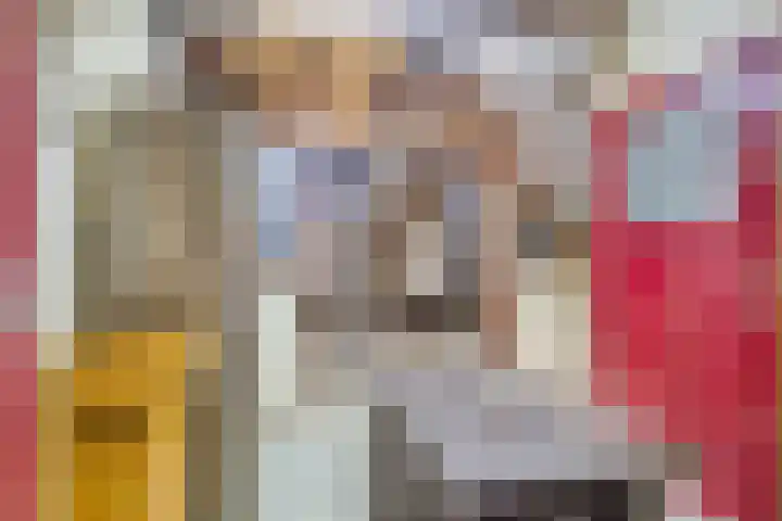 Kipstraat 2 Ossenisse thumbnail 24
