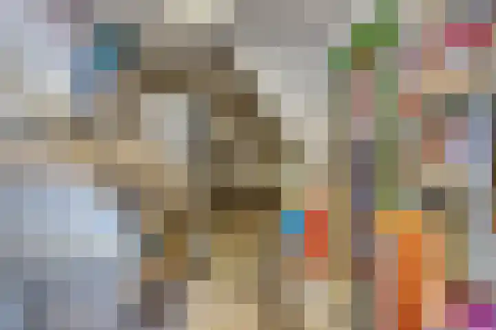 Kipstraat 2 Ossenisse thumbnail 27