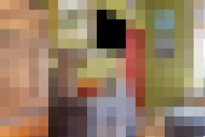 Kipstraat 2 Ossenisse thumbnail 4