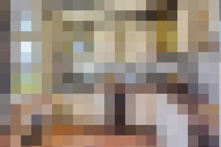 Kipstraat 2 Ossenisse thumbnail 8