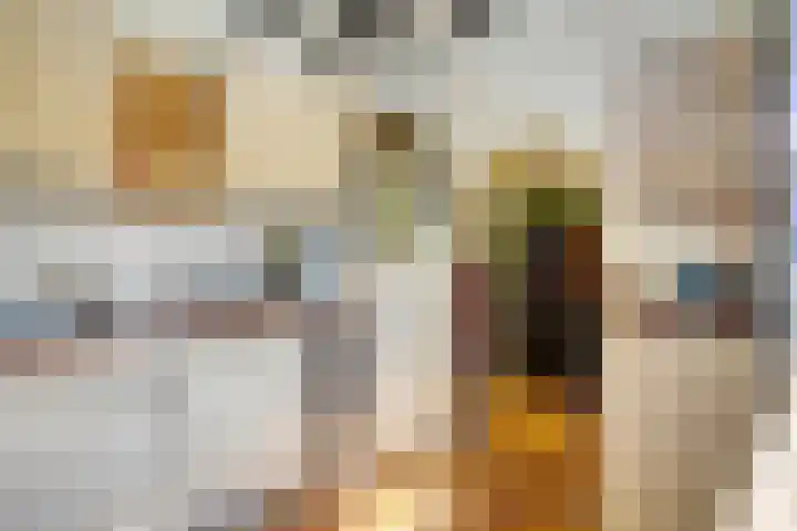 Kipstraat 2 Ossenisse thumbnail 9