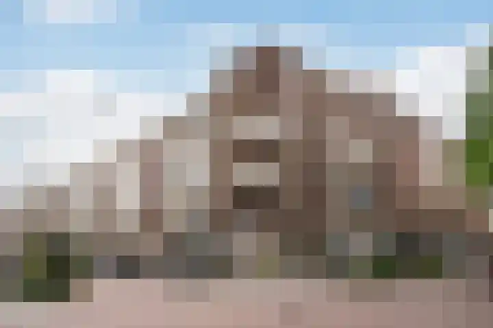 Kipstraat 32 B Rotterdam thumbnail 4