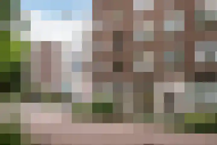 Kipstraat 32 B Rotterdam thumbnail 5