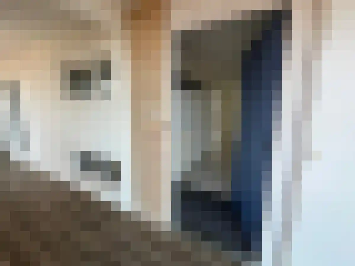 Kipstraat 33 A Rotterdam thumbnail 5
