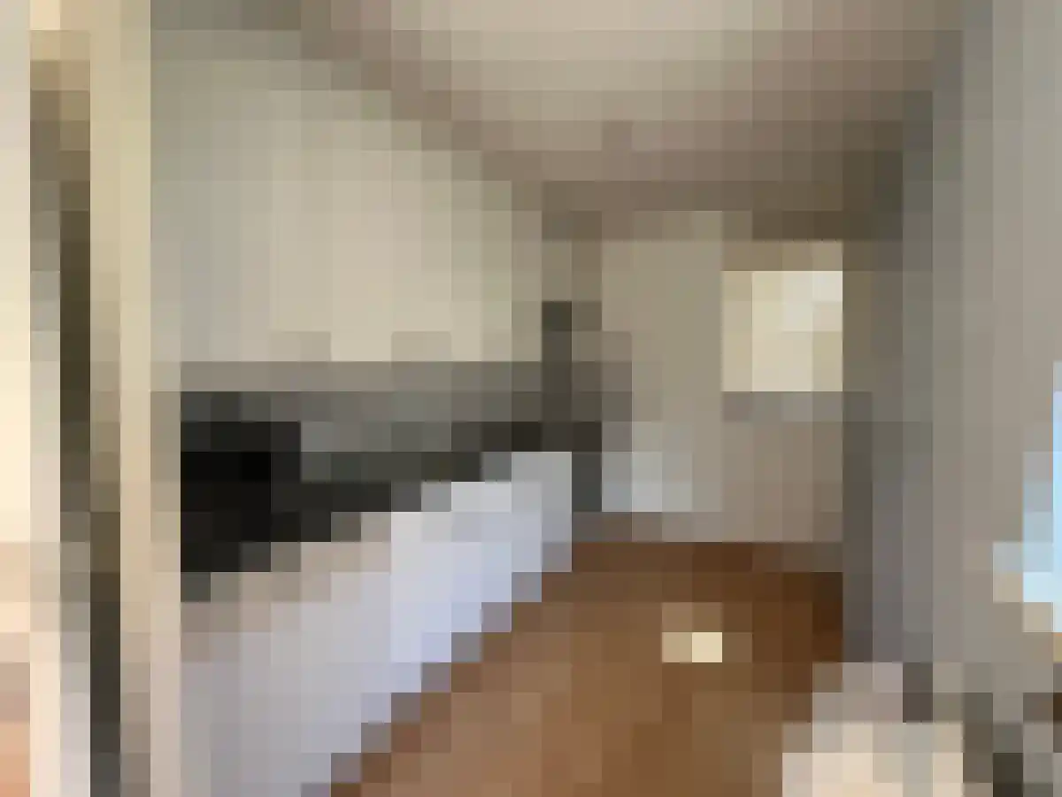 Kipstraat 81 Rotterdam thumbnail 5
