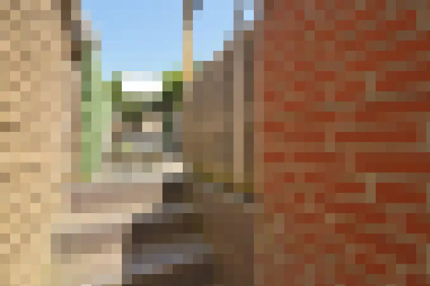 Kipstraat 91 Kerkrade thumbnail 13