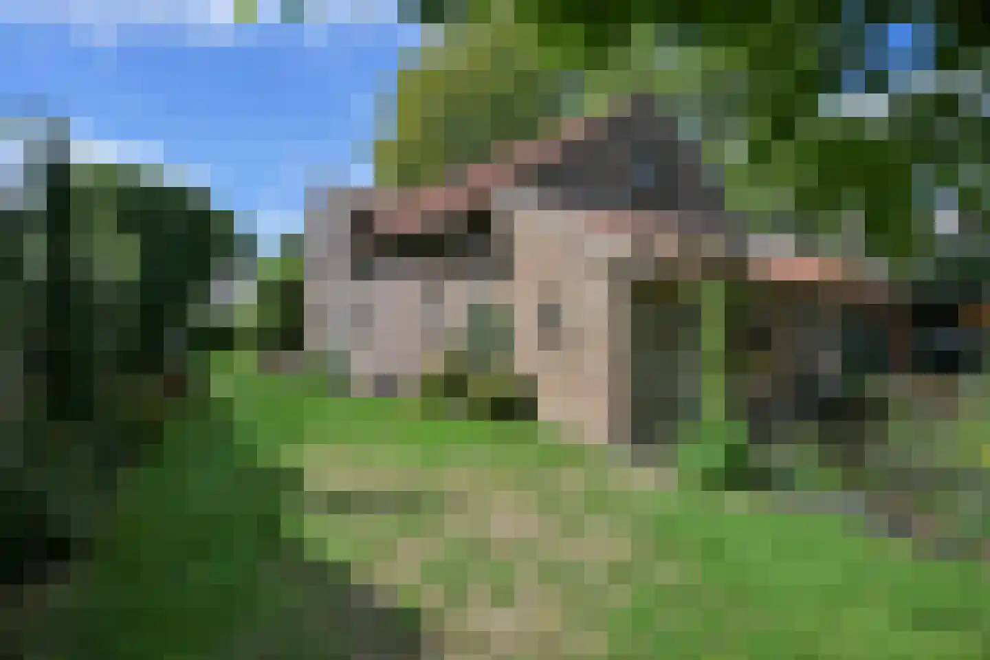Kirkesjteeg 1 Buchten thumbnail 36