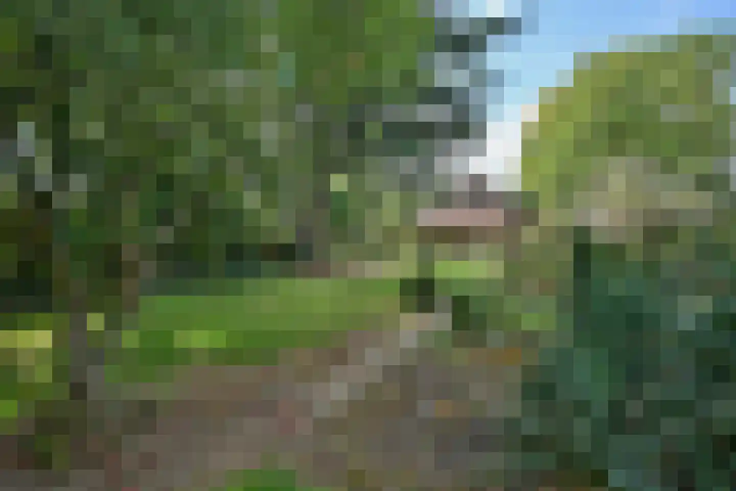 Kirkesjteeg 1 Buchten thumbnail 38