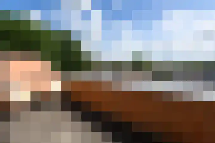 Kiryat-Onoplein 89 Drachten thumbnail 31
