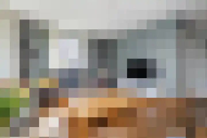 Kistenmaker 10 Wesepe thumbnail 10