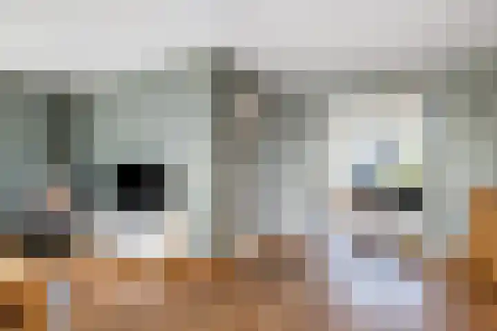 Kistenmaker 10 Wesepe thumbnail 12