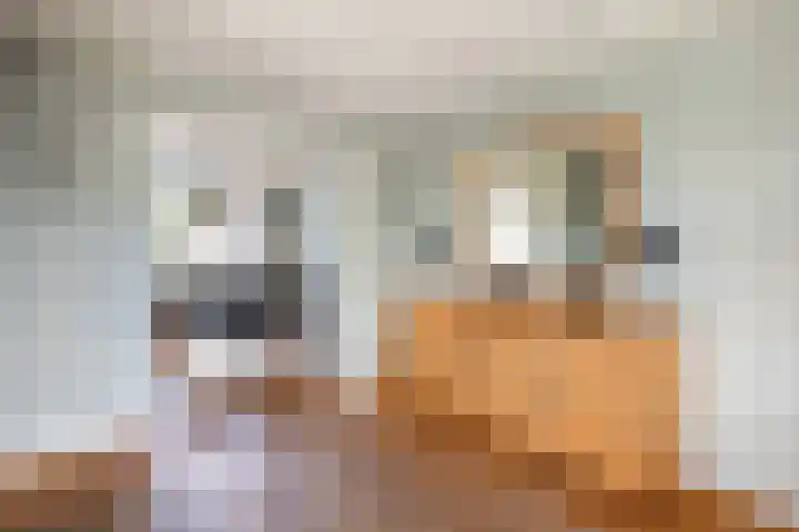 Kistenmaker 10 Wesepe thumbnail 13