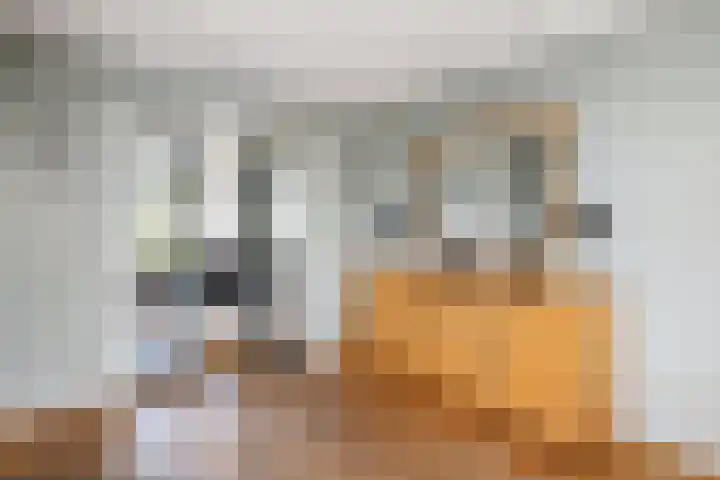 Kistenmaker 10 Wesepe thumbnail 14