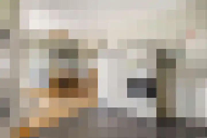 Kistenmaker 10 Wesepe thumbnail 16